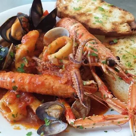 Nettuno 西尼加利亚